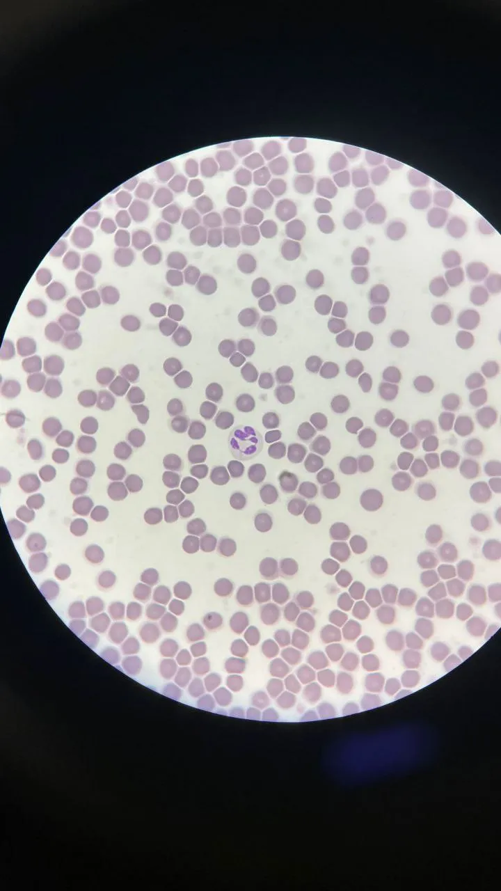 Laboratory
