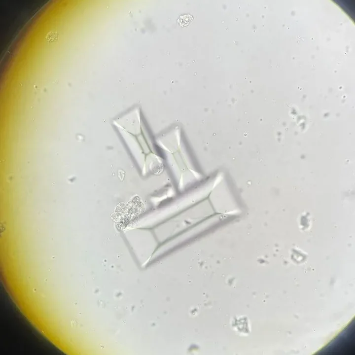 Laboratory